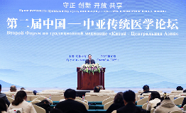 岐奥丰参加第二届中国—中亚传统医学论坛